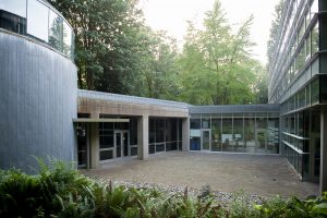 Liu Forest Courtyard