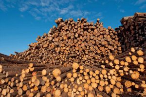 softwood lumber, trade disputes