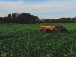 Smallholders need access to big-data agronomy too