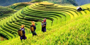 How to Conserve Half the Planet Without Going Hungry