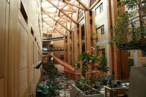 The Sustainable Interior Design Revolution