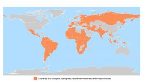 The Human Right That Benefits Nature