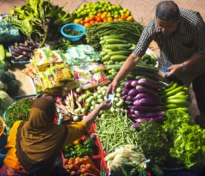 Prosperous and green in the Anthropocene: The human right to a healthy environment in Southeast Asia