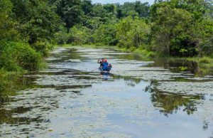 A Regional Agreement for Healthy Eco-Systems in Latin America & the Caribbean