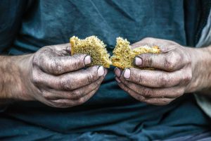Human Rights Could Address the Health and Environmental Costs of Food Production