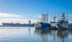 Ethical Considerations for Research on Small-Scale Fisheries and Blue Crimes