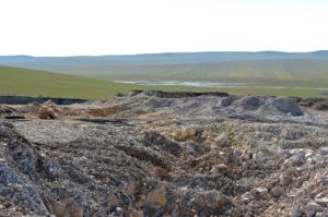 Local Procurement, Shared Value, and Sustainable Development: A Case Study from the Mining Sector in Mongolia