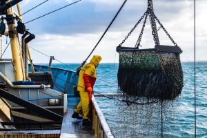 Prof. Rashid Sumaila: Threat of ‘Heatflation’ Looms Large as Climate Change Shrinks Farm and Seafood Output