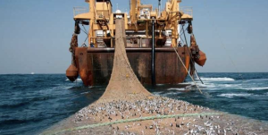 Rashid Sumaila: Bottom Trawling in the Med Supported by ‘Generous Handouts’