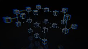 MPPGA Alumni Remy Hellstern and Daniel Park: Leveraging Blockchain-Based Archival Solutions for Sensitive Documentation