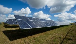 A field with solar panels