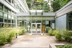 Liu Institute for Global Issues