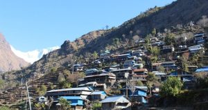 Prof. Sara Shneiderman Awarded Surya P. Subedi Prize